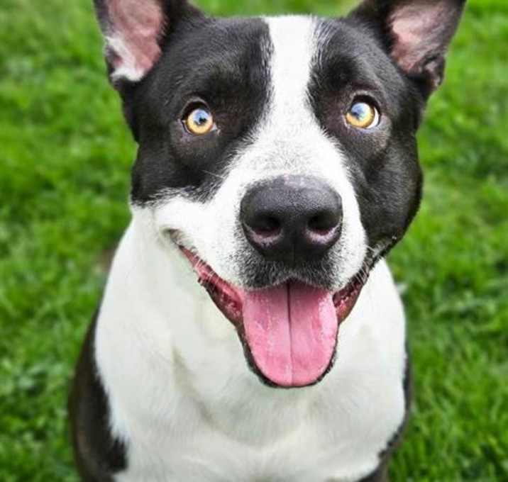 Photo of EMMETT