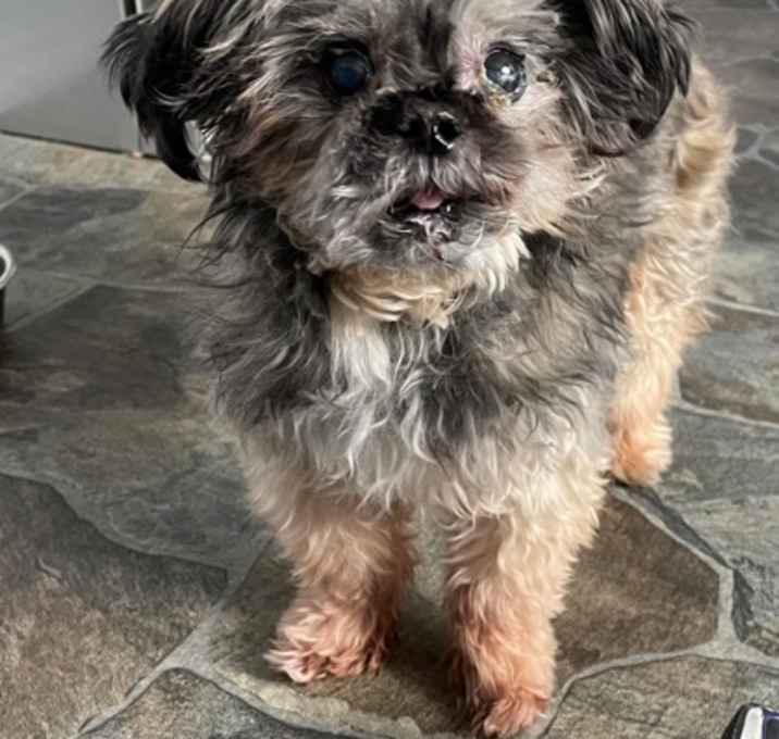 Photo of Jake