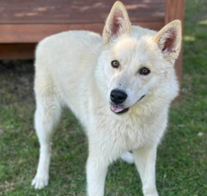 Photo of Tucker