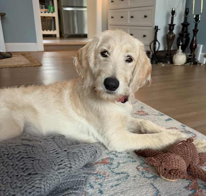 Photo of Daisy