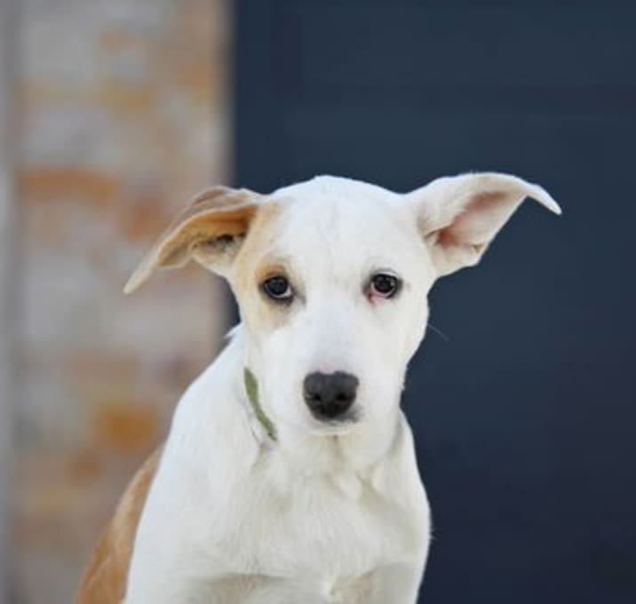Photo of Winnie Rose