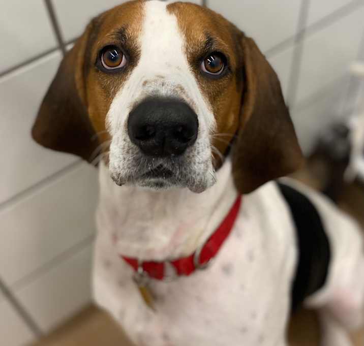 Photo of Jasper