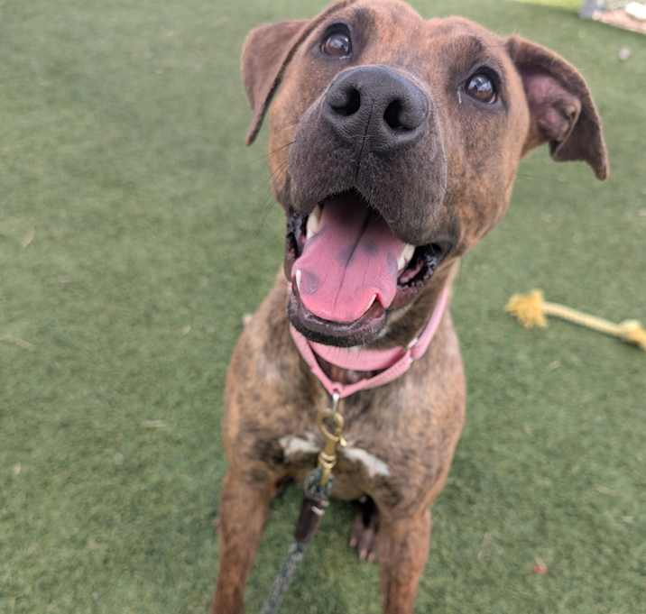 Photo of Maggie