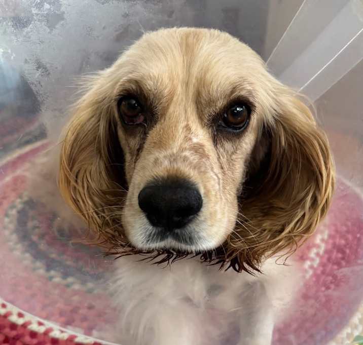Photo of Lulu B414