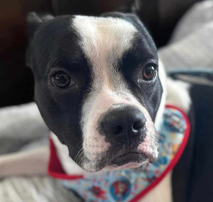 Photo of LACI
