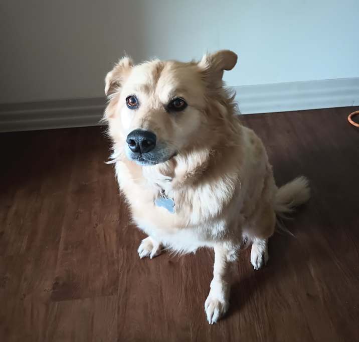 Photo of Aspen
