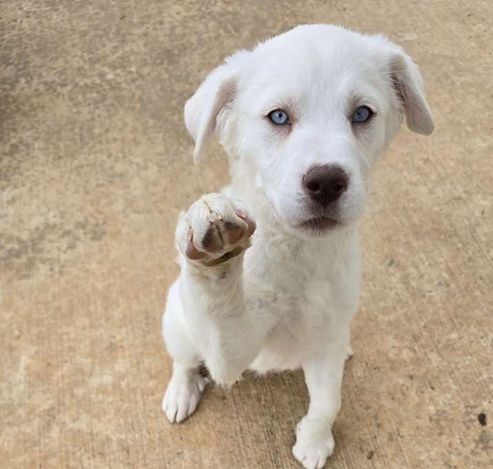 Photo of Nova