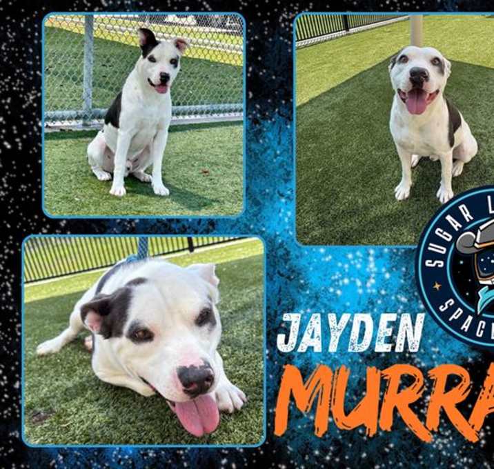Photo of JAYDEN MURRAY