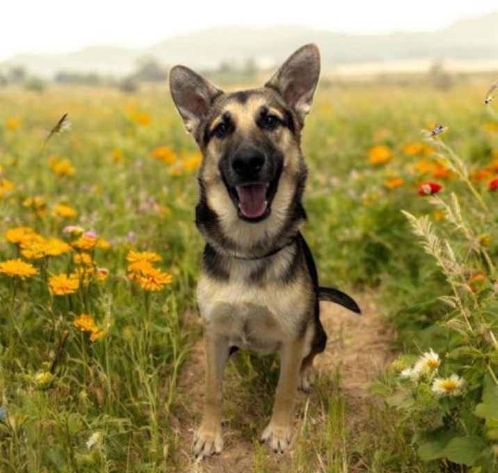 Photo of Rico