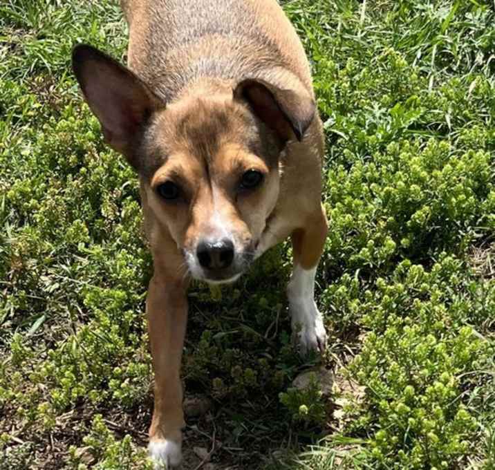 Photo of Star