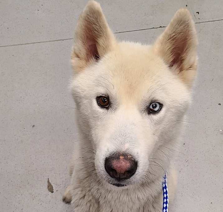 Photo of Jazz