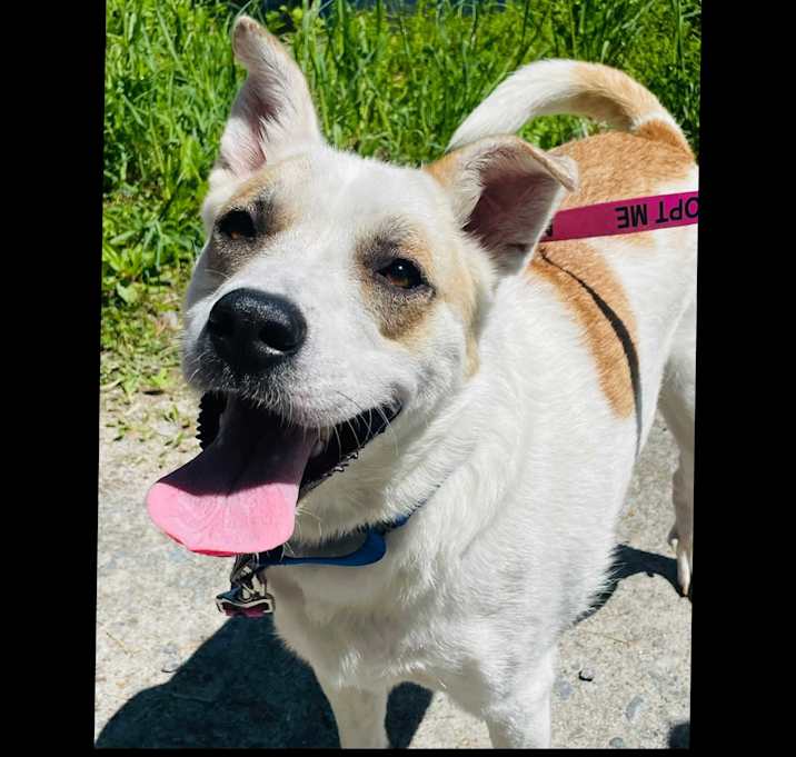 Photo of Peggy Sue