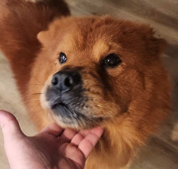 Photo of Deku