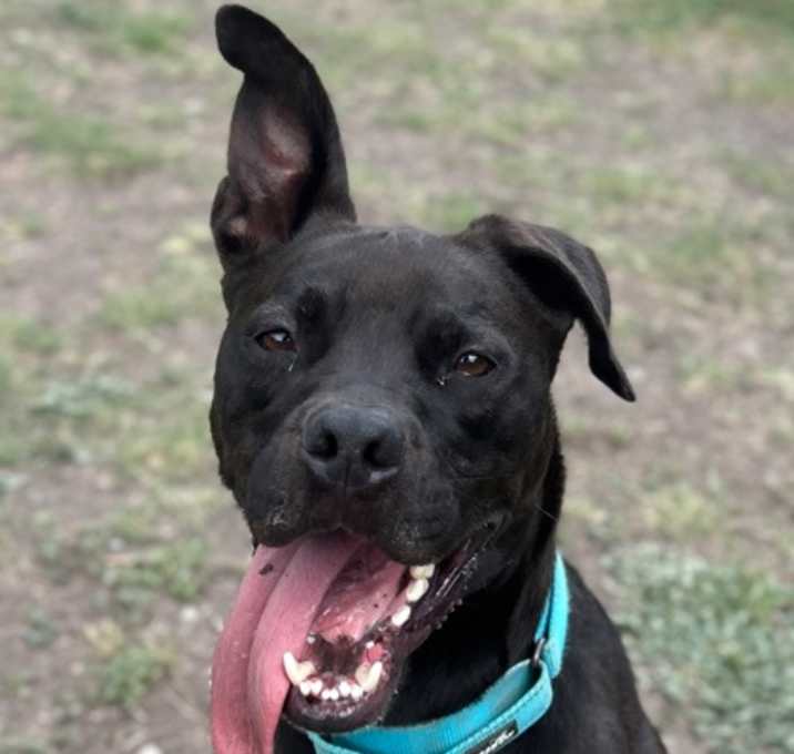 Photo of Sterling
