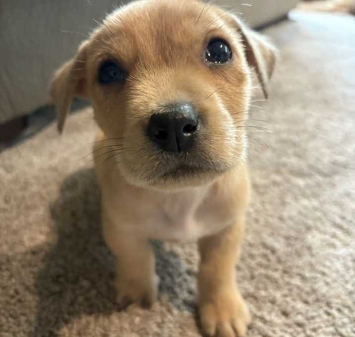 Photo of Hercules