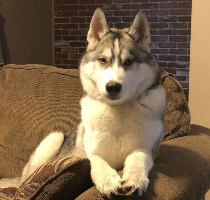 Photo of Flash