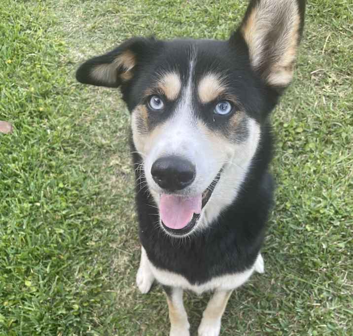 Photo of Lola