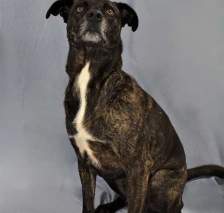Photo of Betty 1609-22