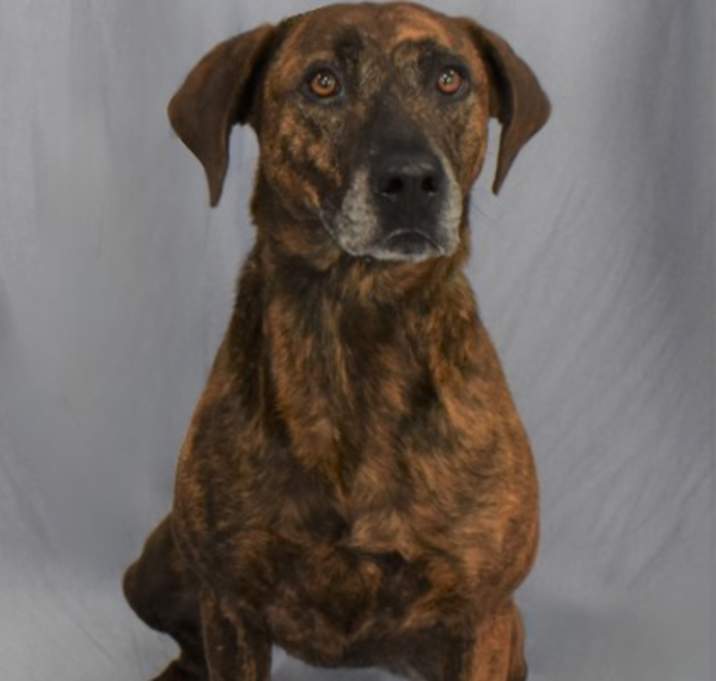 Photo of Tilly 754-22