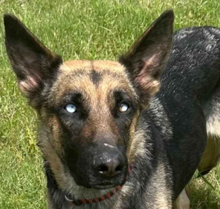 Photo of Judy
