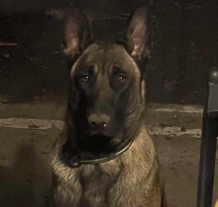 Photo of Jack