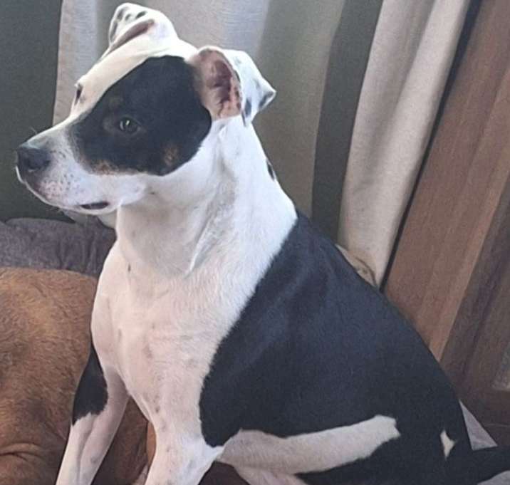 Photo of Winston