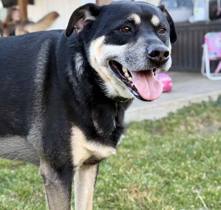 Photo of Luther