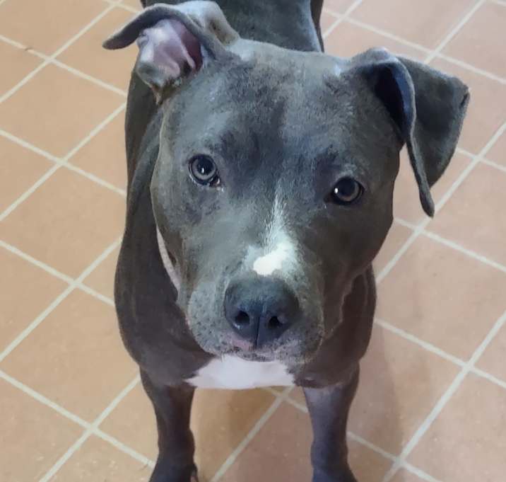 Photo of Luna