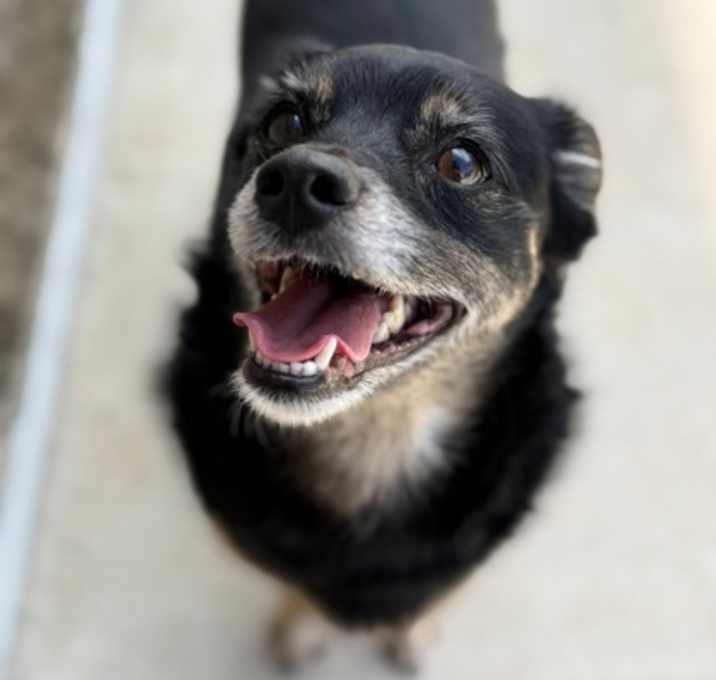 Photo of Tasha