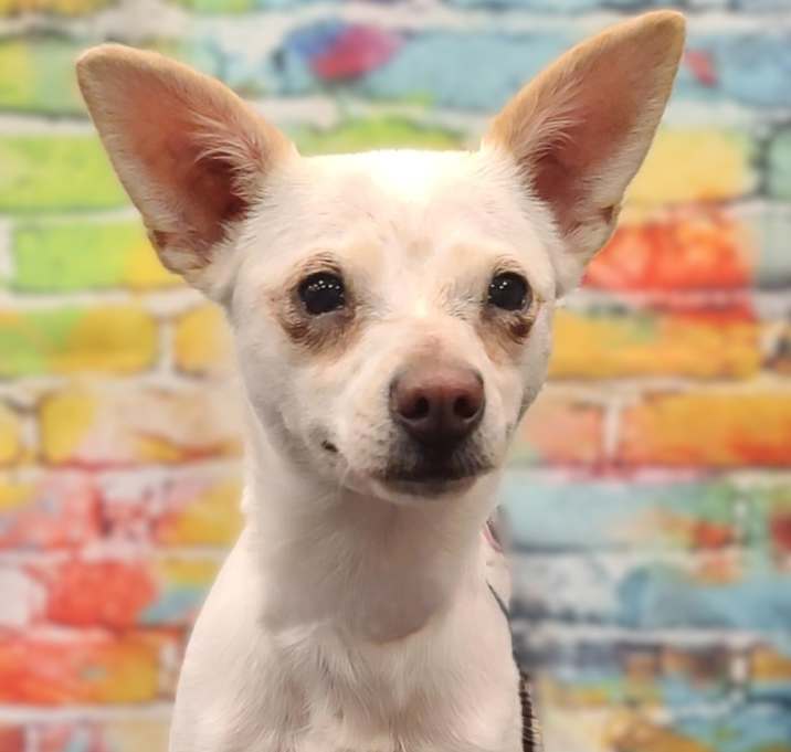 Photo of Molly