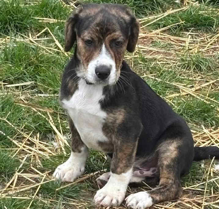 Photo of Gus