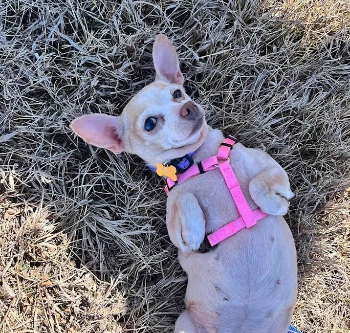 Photo of Milly
