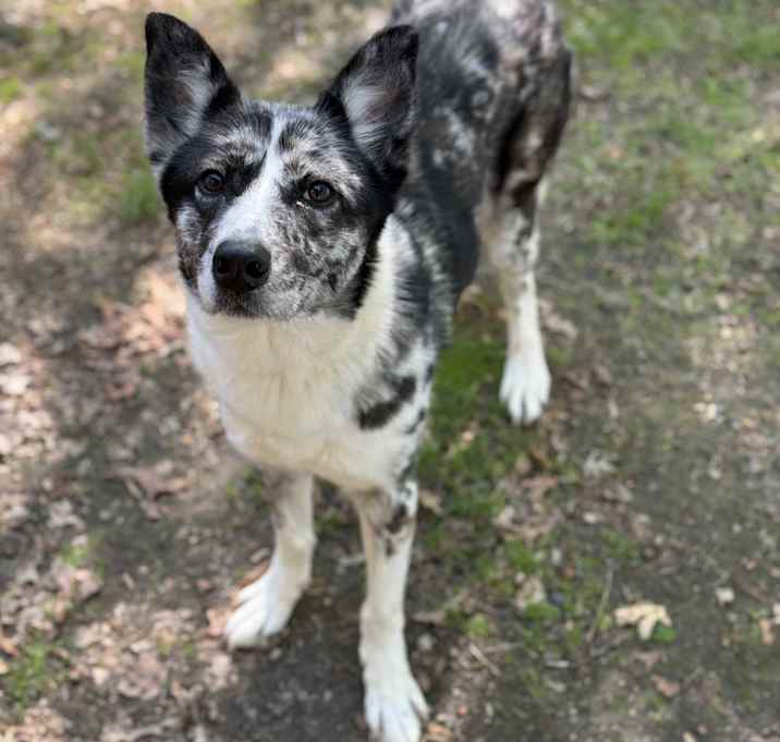 Photo of Etta
