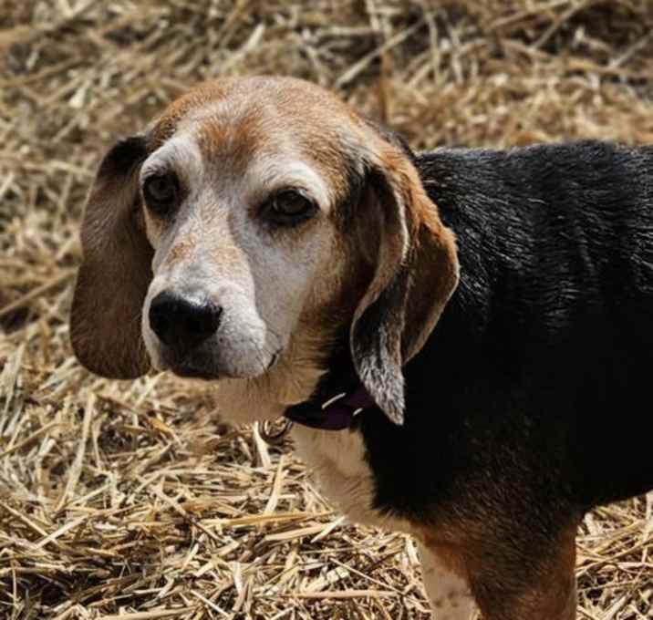 Photo of Sally Ann