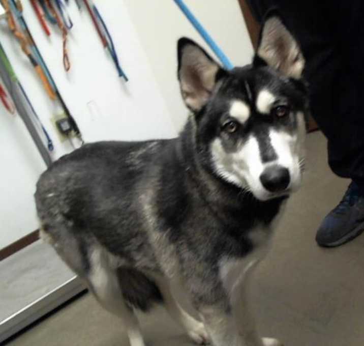 Photo of ZOE
