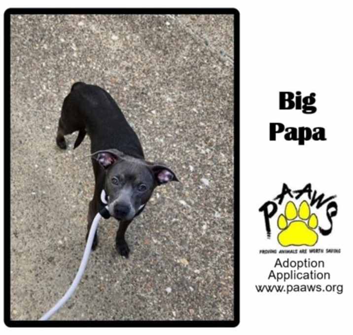 Photo of Big Papa