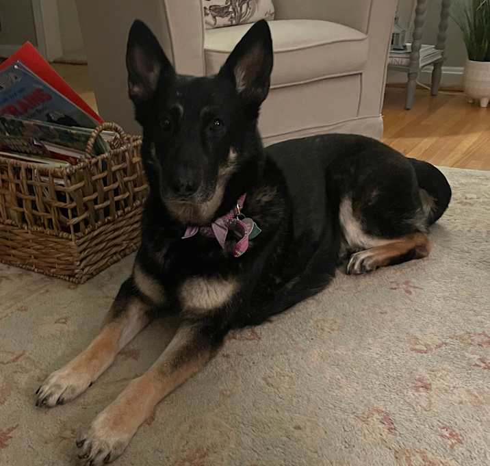 Photo of Ada