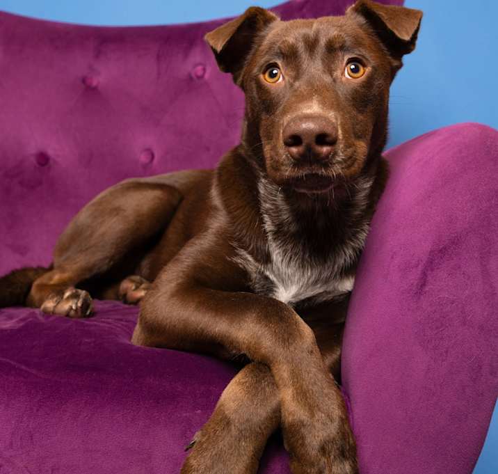 Photo of Tippy