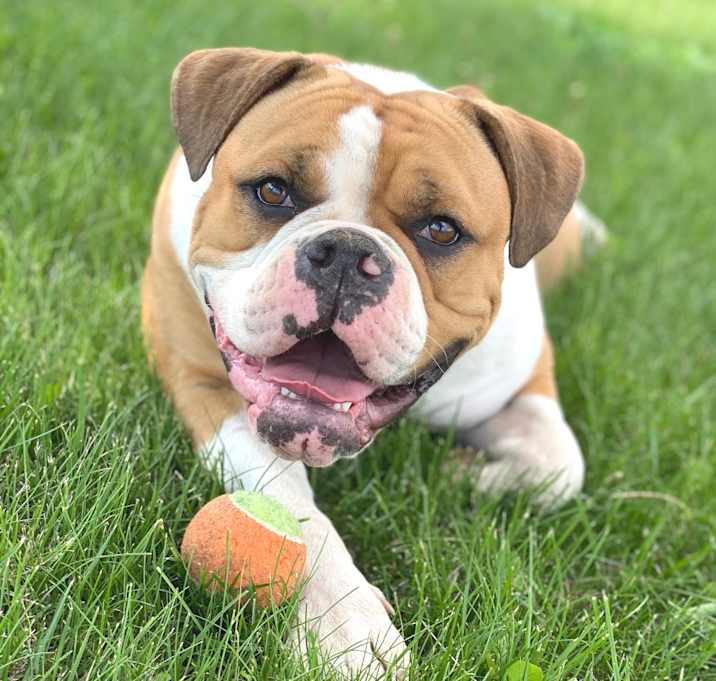 Photo of Fiona