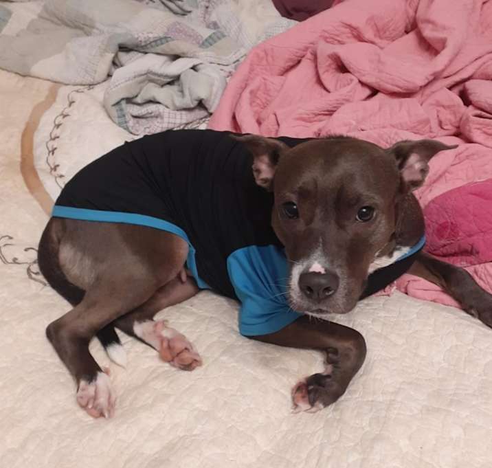 Photo of Nutmeg