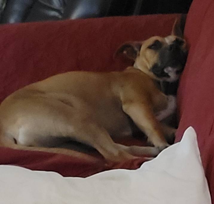 Photo of FANCY