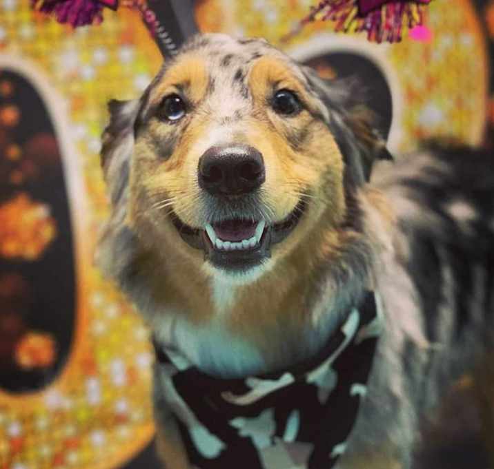 Photo of Olive