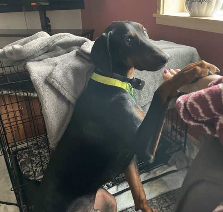 Photo of Baxter