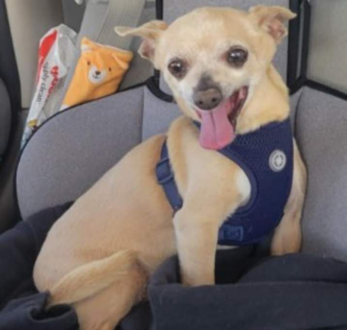 Photo of Coco