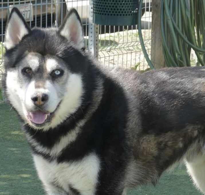 Photo of PRADA