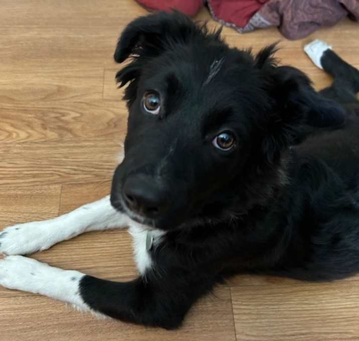 Photo of Elsie