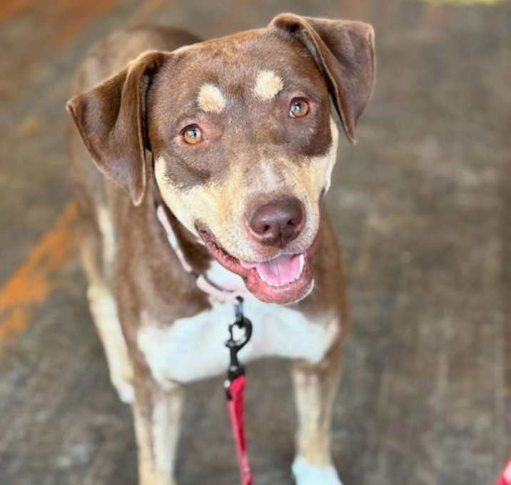 Photo of Bree