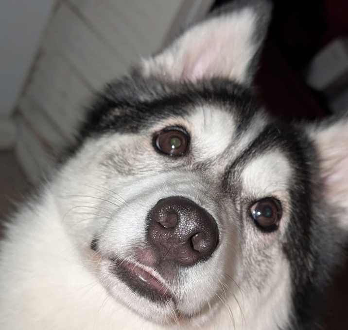 Photo of Yuri