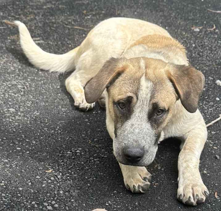 Photo of Gromit