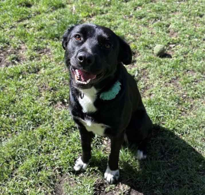 Photo of Rowena